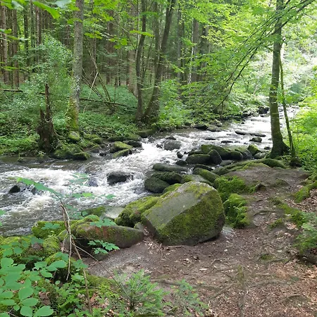 Panoramablick *