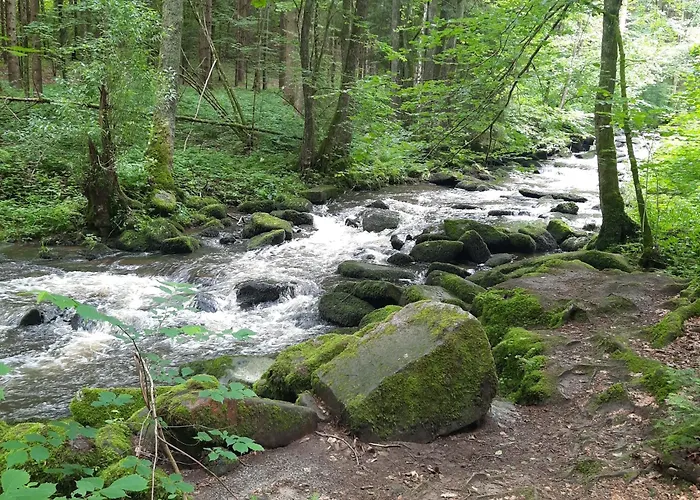 Panoramablick *